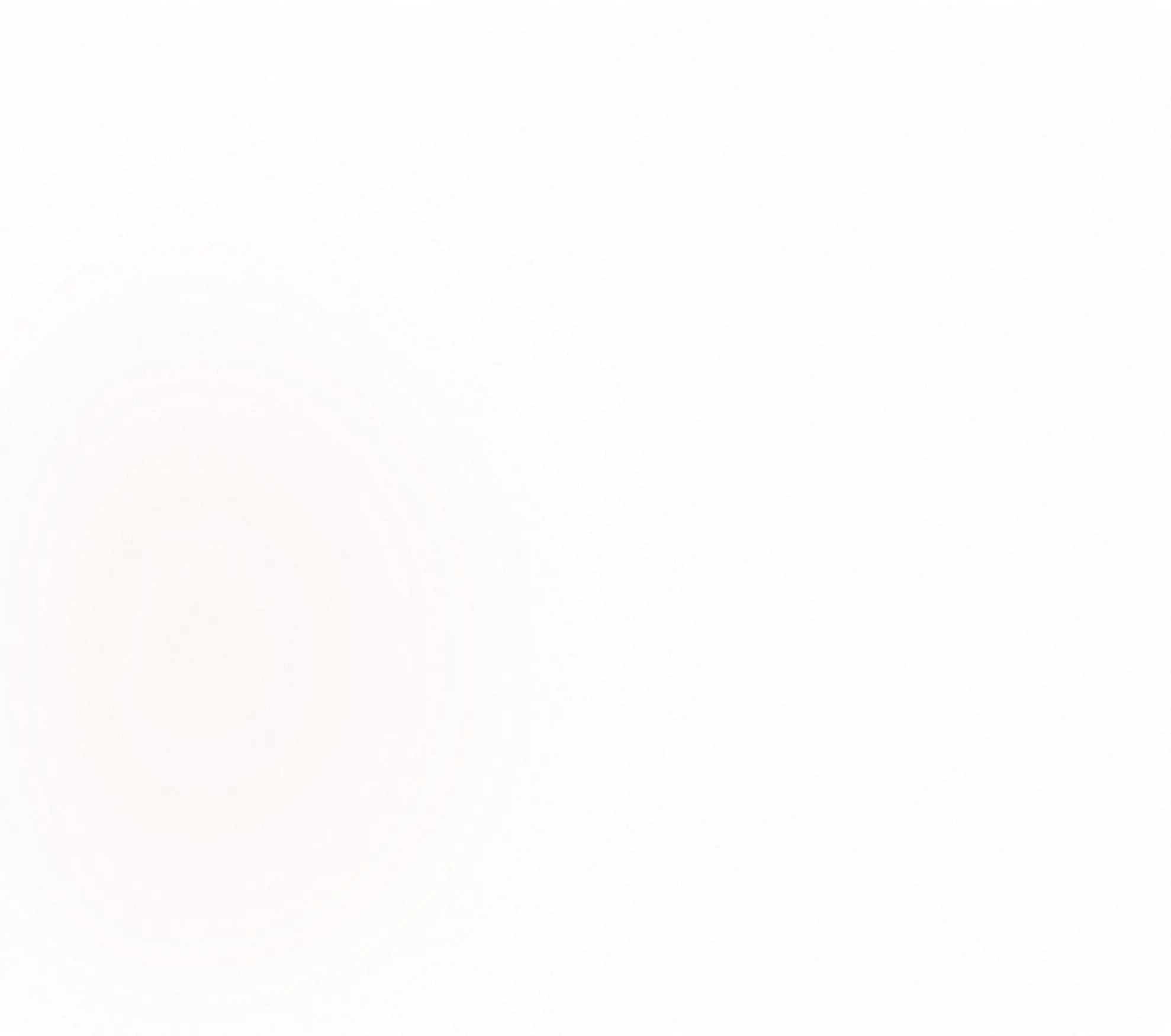 Animation fallback image